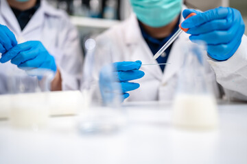 Fototapeta premium Close up of scientist or nutritionist dripping a sample of milk, fat or glucose in a test tube or beaker in laboratory, Expertise is working on lactose, protein experiment analysis or testing quality.