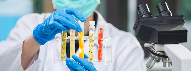 Scientist or researcher is holding a sample of fruit sample in test tube. Cosmetic laboratory....