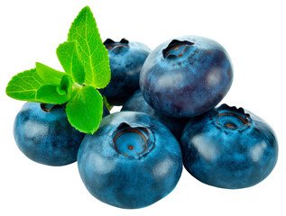 Obraz premium blueberries with transparent background
