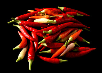 Chili, Capsicum,