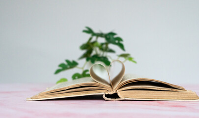 Livre ancien ouvert sur une table avec des pages qui forment un coeur devant une petite plante verte - obrazy, fototapety, plakaty