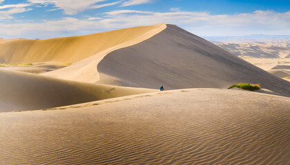Fototapeta na wymiar Panorama of desert sand dune with small figure in distance
