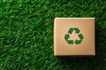 recycle symbol on a cartoon box, green grass , recycle awareness 