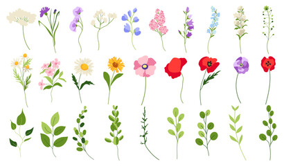 Naklejka premium Set of spring vector meadow flowers