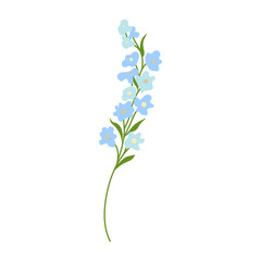 Fototapeta na wymiar Blue flowers isolated on white background