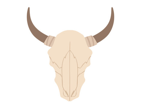 Cattle skull vector illustration isolated on white background