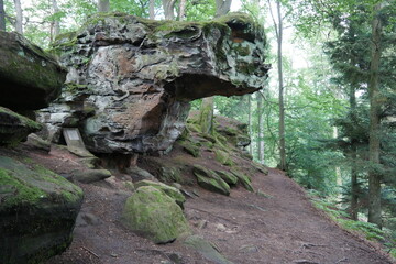 Felsen am Kirkeler Felsenpfad im Saarland