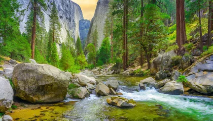 Foto op Canvas Woodlands with stream flowing through beautiful rocky gorge in yosemite © Milla
