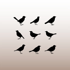 
Fairy-wren bird black silhouette. Beautiful black wren bird art vector illustration