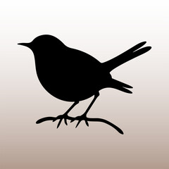 
Fairy-wren bird black silhouette. Beautiful black wren bird art vector illustration