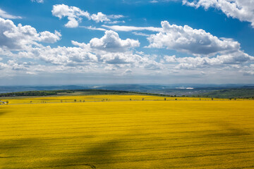 Aerial shot of yellow fields and beautiful cloudy sky