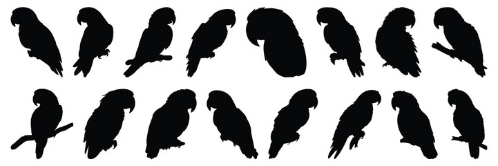Parrot tropic silhouettes set, large pack of vector silhouette design, isolated white background