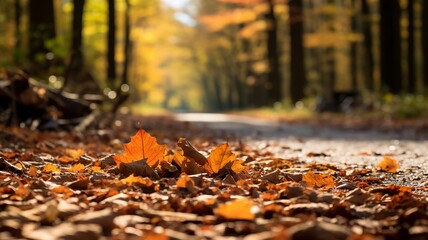 Autumn leaves gather around a roadblock in a forest, signaling seasonal change - obrazy, fototapety, plakaty