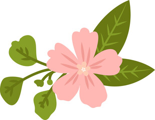 pink blossom isolated on transparent background