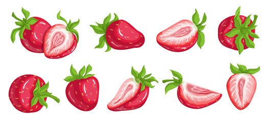 Set of juicy, ripe strawberries and pieces of summer berries.Vector graphics.