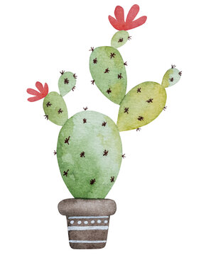 Hand-Painted Watercolor Of Potted Cactus Makes Perfect Summer Clipart
