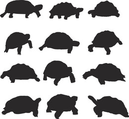 Black Tortoise Silhouette Vector Art Stock.