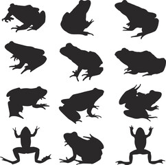 Frog Silhouette Vector Art Icons.