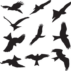 set of silhouettes of birds