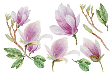 magnolia set