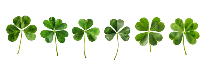 Set collection of lucky clover and shamrock isolated on transparent background, Saint Patrick day celebration symbol, png file - Powered by Adobe