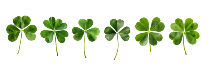 Foto op Plexiglas Set collection of lucky clover and shamrock isolated on transparent background, Saint Patrick day celebration symbol, png file © Delphotostock
