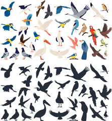 large set of birds, different breeds vector