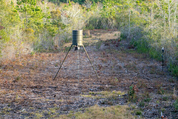 Deer hunting sport. During deer hunting season in USA. This deer corn feeder sits alone in a wooded area to attract deer and other wildlife to this area in southeastern Texas.