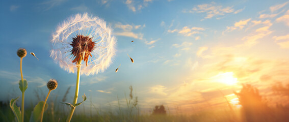 Sunlight on the dandelion in the sky, in the style of pastel dreamscapes, flowing silhouettes,...
