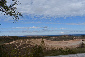 landscape with trees