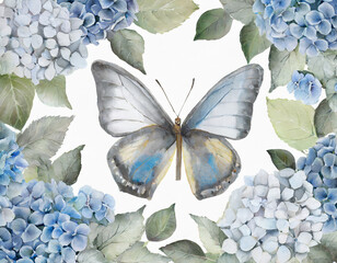 floral frame_ butterfly made of blue hydrangea and gray ag