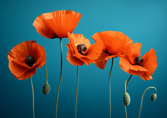 Five red poppies against blue background, in the style of soft and dreamy atmosphere, night photography, color splash, wimmelbilder, selective focus, shaped canvas, dark orange and light emerald

