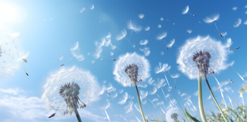 A dandelion blowing into the sky, in the style of abstract formulations, surrealist humor, scattered composition

