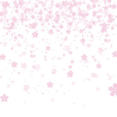 illustration of falling cherry blossoms