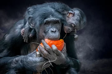 Foto auf Acrylglas a monkey eating wile carrying a baby on her shoulders © Ralph Lear