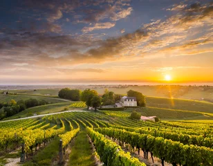 Fotobehang Sunset landscape bordeaux wineyard france © yahan balch