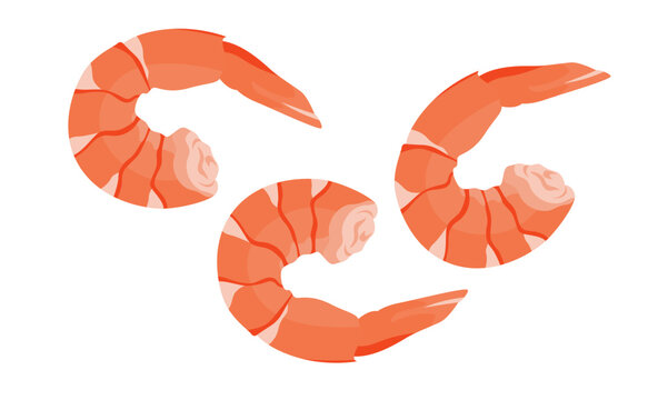 cooked shrimp isolated on white