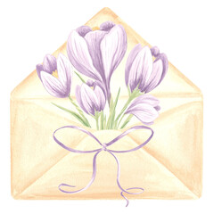 Watercolor bouquet of purple crocus flowers in an envelope with a bow. Spring isolated hand drawn illustration saffron blossom. Floral template for cards, packaging and tableware, textile and sticker