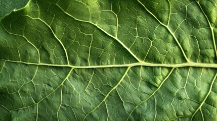 Generative AI, macro texture of green leaf veins, green foliage texture, ecology background