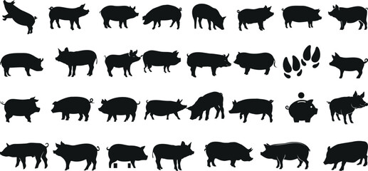 Black pig silhouettes, vector graphics. Various poses of Swine, Hog, Sow, Boar, Livestock, Ideal for farm, animal, agriculture designs. Editable elements