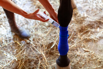 Female Farmer on A Ranch Cooling a Wound with  Syringe Filled With Water