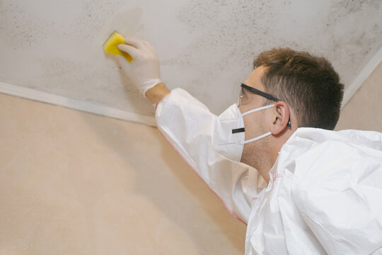 A cleaning service worker removes mold from a wall using a sprayer with mold remediation chemicals, mildew removers and a scraper.