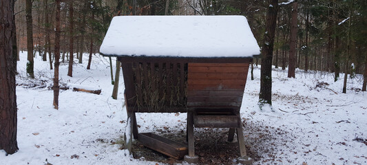 Forest animal feeder in winter