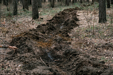 trench in the forest from a grassroots fire