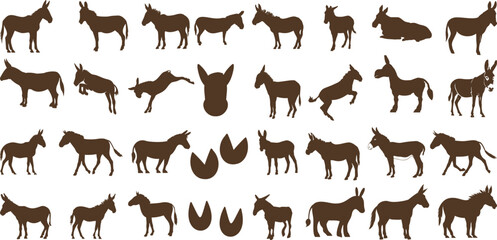Donkey silhouettes Vector in various poses, perfect for farm, animal, nature-themed designs, educational materials, children’s books, Donkeys - obrazy, fototapety, plakaty