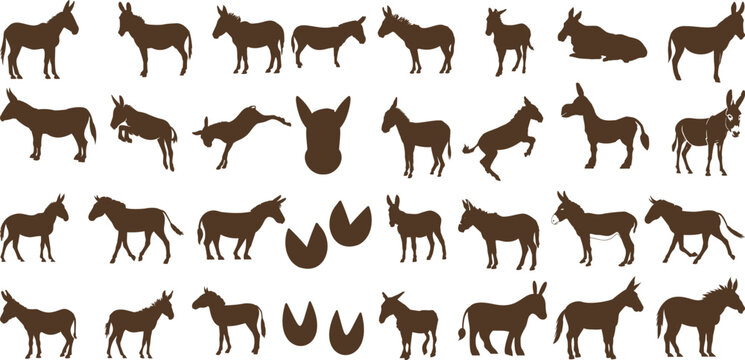 Donkey silhouettes Vector in various poses, perfect for farm, animal, nature-themed designs, educational materials, children&rsquo;s books, Donkeys