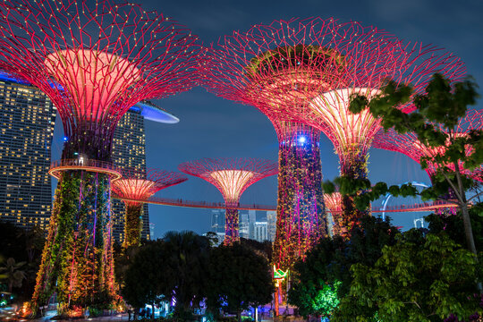 Singapore City, Singapore - September 11,2019: Night view of Gardens by the Bay a nature park in Singapore City.	