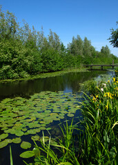 Landscape of a lake and blue sky