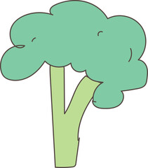 Hand drawn broccoli illustration on transparent background.
