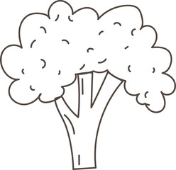 Hand drawn broccoli illustration on transparent background.

